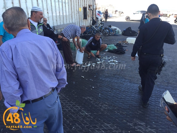 mina2 yaffaj3 (1).jpg